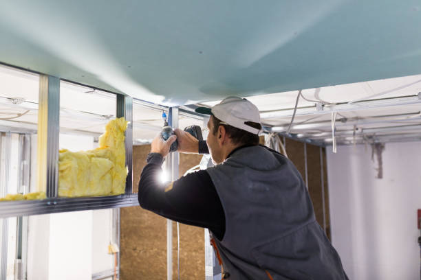 Insulation Replacement Services in East Lake, FL