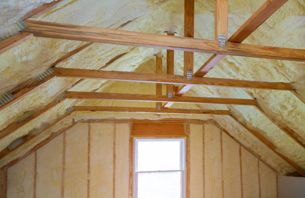 Best Garage Insulation Installation  in East Lake, FL