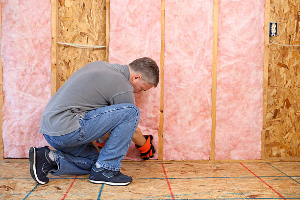 Best Soundproof Insulation Installation  in East Lake, FL